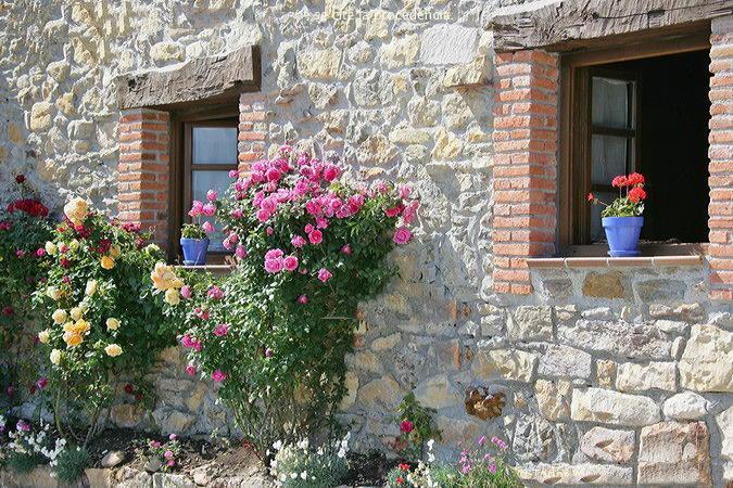 La Xica Ll Pension Beceña Buitenkant foto